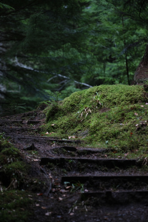 naturalxcauses:visit my page for more nature