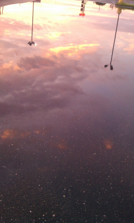 spellboundwitchcraft:Flooded parking lots are beautiful, especially when the speckled asphalt makes 