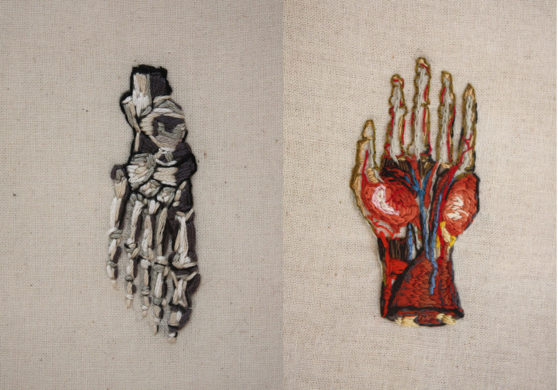 unbearabilityofbeauty:  Anatomical Embroidery by Candace Couse 