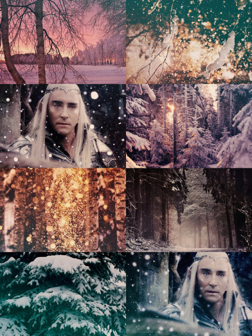 bestofleepace:  Merry Christmas and happy New Year from Thranduil. May your wishes come true!