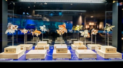 すみだ水族館【公式】‏ @Sumida_Aquarium本物そっくりで美しい #飴細工 の #金魚 は、10種全てが現在展示している品種です✨金魚と飴細工、どちらからも江戸時代より受け継がれて