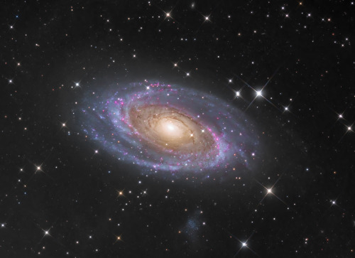 Messier 81. Image Credit & Copyright: Wissam Ayoub