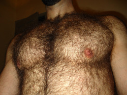 sexyhairybrazilian: my brazilian fur - sexy masculine and proud to be gay and furry http://sexyhairybrazilian.tumblr.com/ 