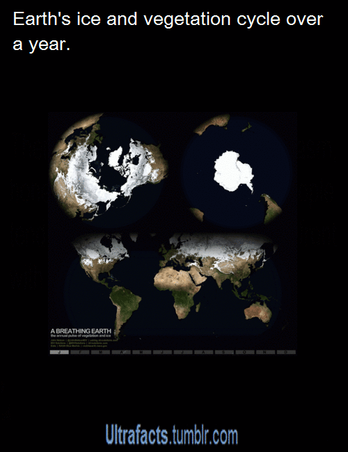 ultrafacts:  Source Want more facts?, follow the Ultrafacts Blog