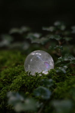 90377:  Clear quartz sphere at the forest.tumblr | Instagram | Etsy Shop  