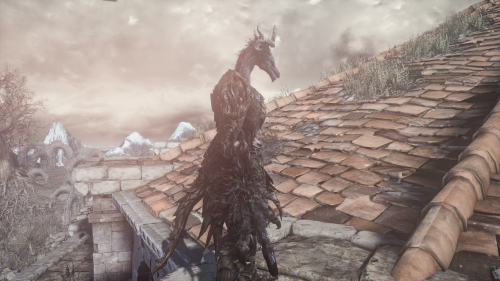 partlysmith:shoutout to the Dark Souls 3 Cinders mod for finally letting me have the perfect dragonb