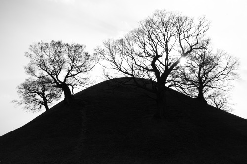 blackiscolorful:Gyeongju, Korea(2012)