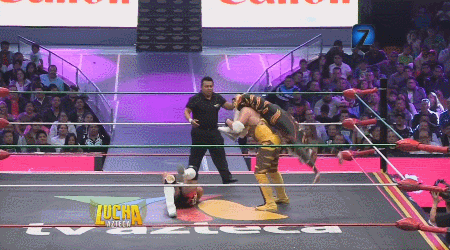 awesomebutternuggets:  Lucha Libre Elite - Lucha Azteca - July 28 2016Rocky Lobo