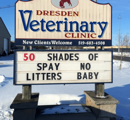 wwinterweb:  Funny Veterinarian Signs (see 10 more)