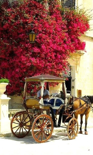 Carriage Tour On The Streets Of Mdina, The Old Capital Of Malta