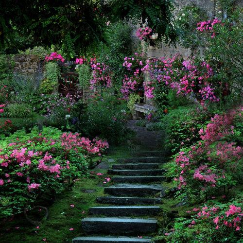 norse-nature-spirit:  Premade BK 557 by FairieGoodMother 