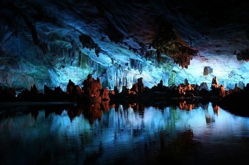 gaksdesigns:Waitomo Glowworm Caves, New Zealand.