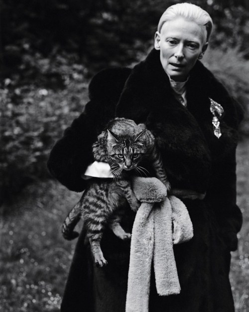 edenliaothewomb:Tilda Swinton, photographed by Jack Davison for Dazed &amp; Confused, summe