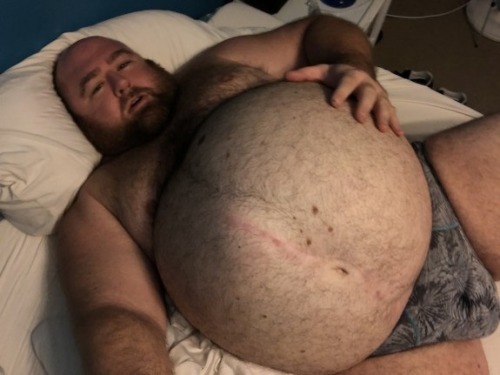 bbigbbelly:😯🐷🐻
