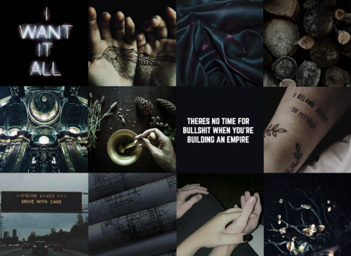 Slytherin Pukwudgie ENTJ aesthetic for @ogruok.- Cheyanne the Ravenclaw