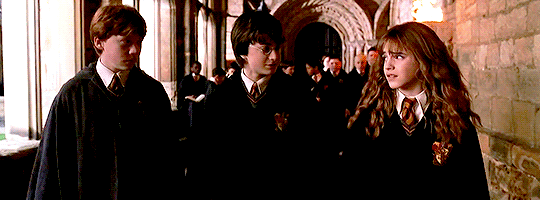 justiintaylor:“Listen!” said Harry again.“No, Harry, you listen,” said Hermione.