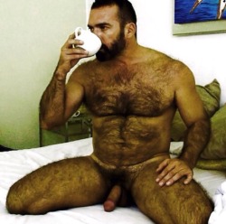 hairymacho:  http://hairymacho.tumblr.com. 