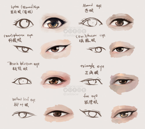 zeldacw:I sketched various eye shapes that were often mentioned in Chinese literature :3♥ Read my co