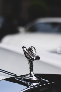 envyavenue:  Spirit of Ecstasy