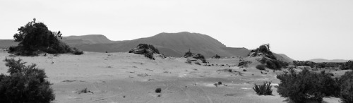 Sand dunes in central Oregon. Instagram - Flickr