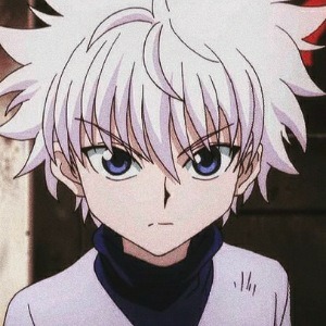 Killua Zoldyck, Professional Profile