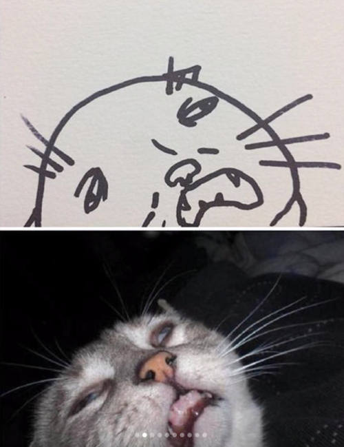 When your teacher keeps saying you can’t draw cats, but your paintings are photorealistic