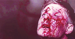 thedoctorsjawn:  favorite ship (σtp) → Destiel 