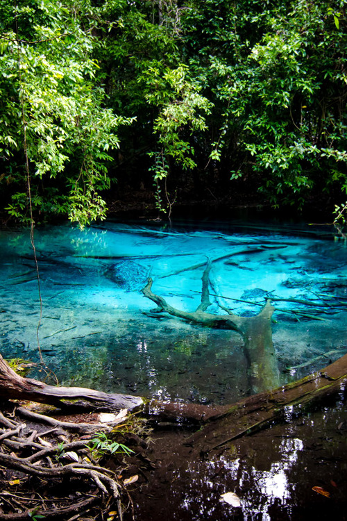 plasmatics-life:  Blue Pool ~ By Ryan Tiew 