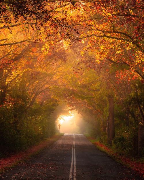 autumncozy:By davejeffreyphotography