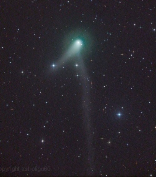 distant-traveller: Comet PANSTARRS K1 swings by the Big Dipper this week, sprouts second tail Comets
