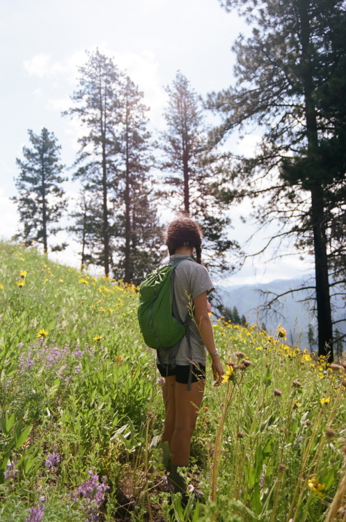 Flower Girl. Frank Church River of no Return Wilderness, ID 