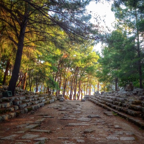 sedefscorner:Ancient Lycian City, Phaselis has survived through centuries and rule of Persians, Gree
