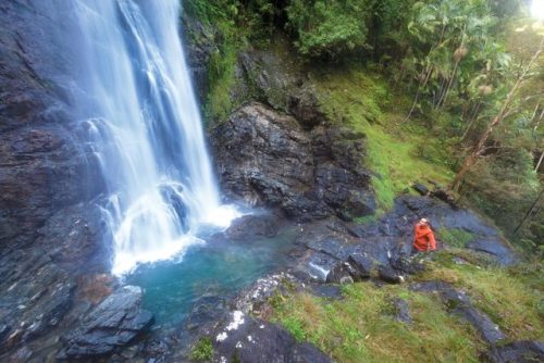 oceaniatropics:  Red Cedar Falls, NSW, Australia
