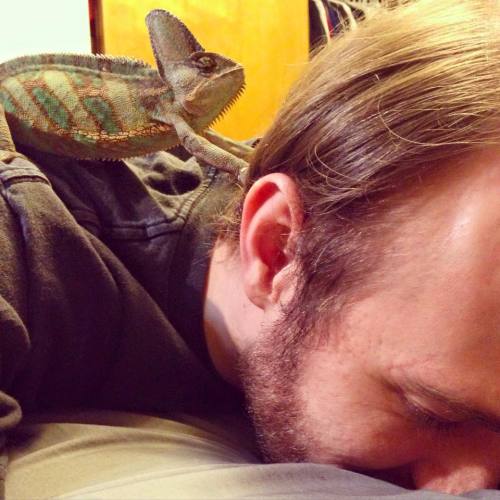 cuteanimalspics:  you keep your stress in your neck don’t worry I work it…