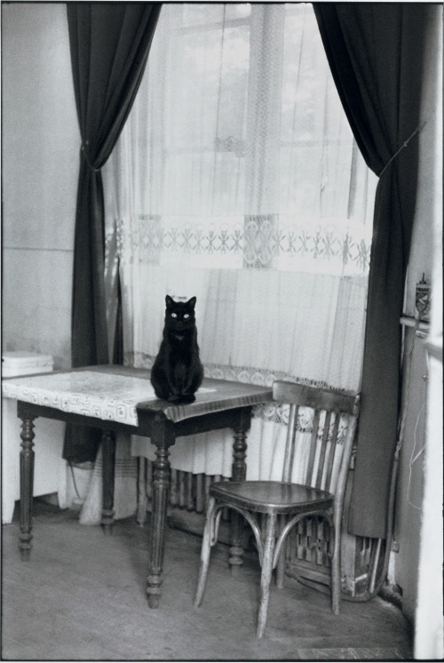 Henri Cartier-Bresson (French, 1908-2004, b. Chanteloup-en-Brie, France) - Paris, 1953, Photography