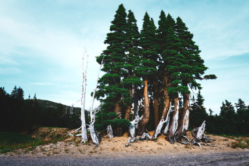 crater lake national park