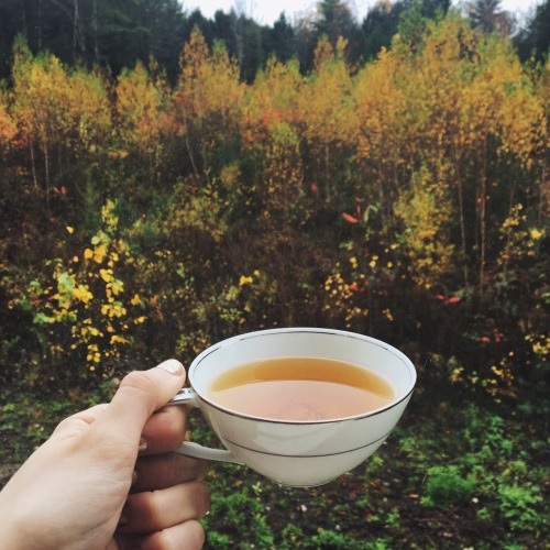 teacupsandcauldrons:What a captivating morning ✨