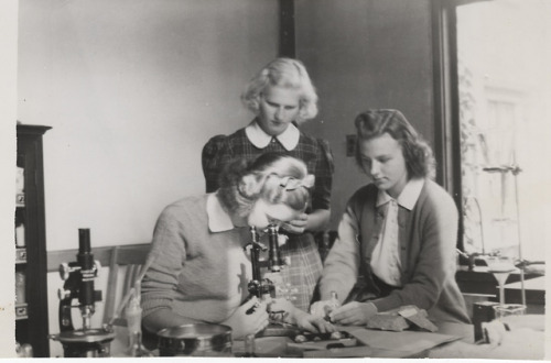 Mount Holyoke has long been the pioneer for women studying disciplines that were male-dominated. Geo