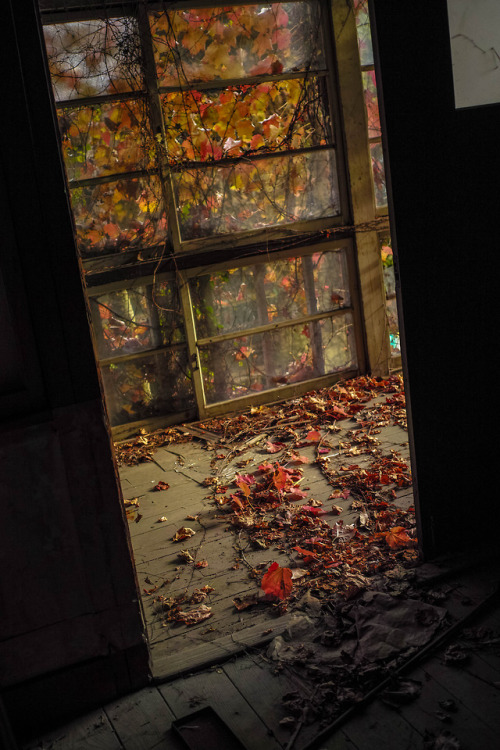 Abandoned “Konoji” hospital- Aコの字医院,日本