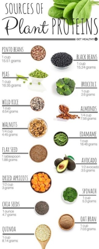 zengardenamaozn:    You should also eat a wide range of foods to make sure you’re getting a balanced diet and your body is receiving all the nutrients it needs.  
