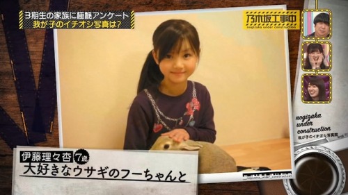 Nogi 3rd gen baby version adult photos