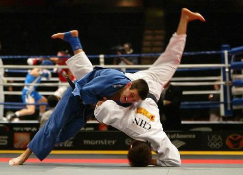 The History of Fighting