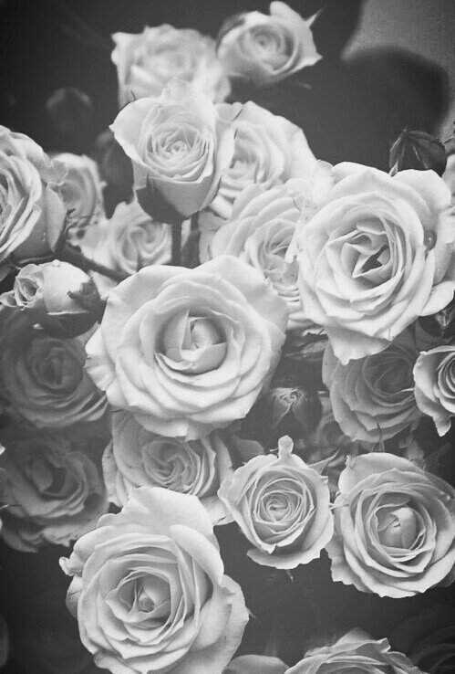 fluorescentfear:  beautiful—lnsanity:  ♡