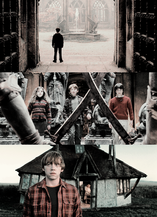 rupertgrnt:  It is our choices that show what we truly are, far more than our abilities.