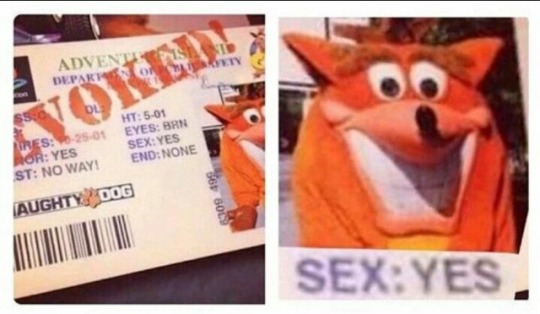 crash bandicoot LICENSED to fuck