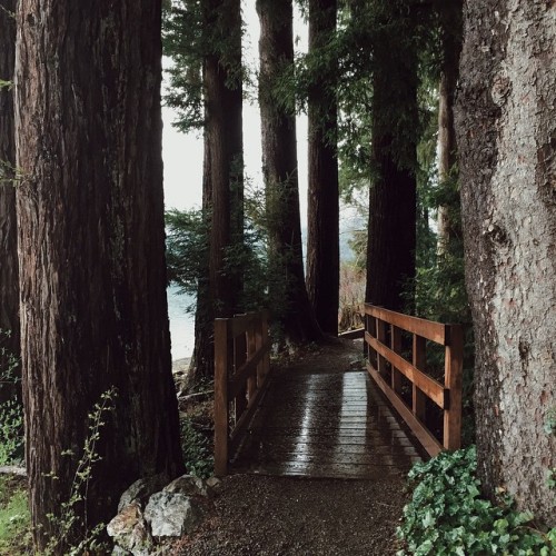 justinchungstudio:On location in the Pacific Northwest.