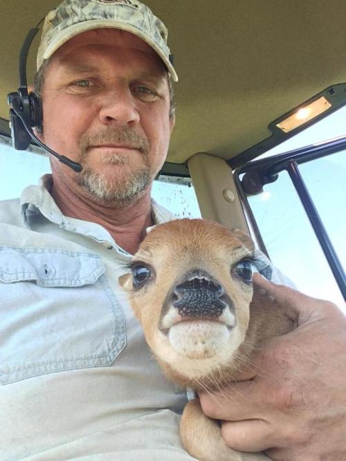 Look At This Cute Puppy We Found In The Corn Field!