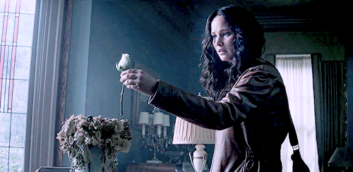 innerwreck:“Miss Everdeen it’s the things we love the most that destroy us“ 