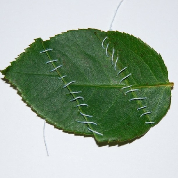 miamaimania:
“Stitching Stories in the Autumn Canopy 
”