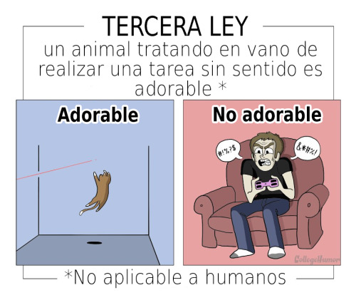 dulcealien:  tretente:  Las leyes de lo adorable  Jajaja las cucarachas nunca. NUNCA! 